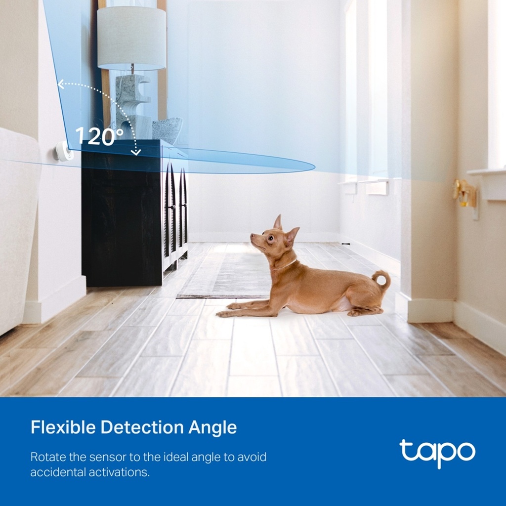 [T100] TP-Link - Sensor de Movimiento Inteligente [Tapo]