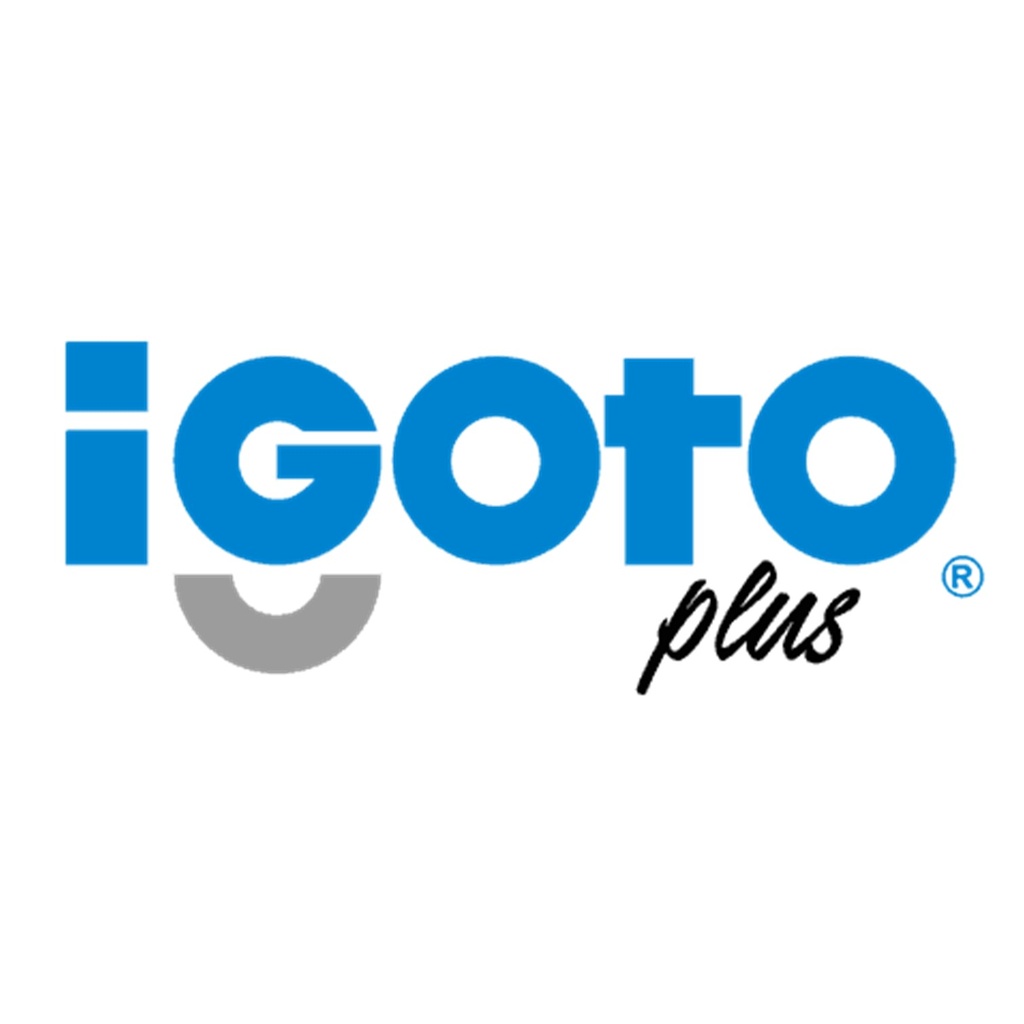 Bombillo LED Bulbo 15W 6500K Luz Fria Rosca E27 IG-BL15W (10 Unidades) Igoto