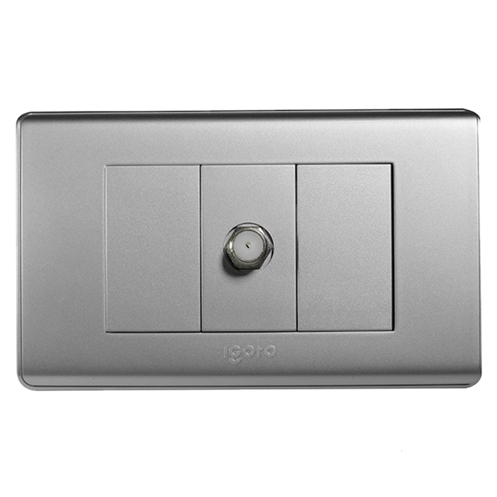 [A2071S-S] Igoto - Toma para TV Serie A [Plata]