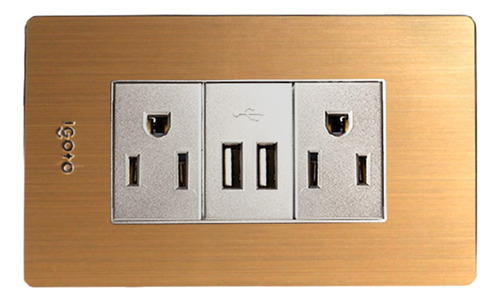 [X105/2-2U] Igoto - Toma Corriente con Tierra + 2 USB Serie X Bronce