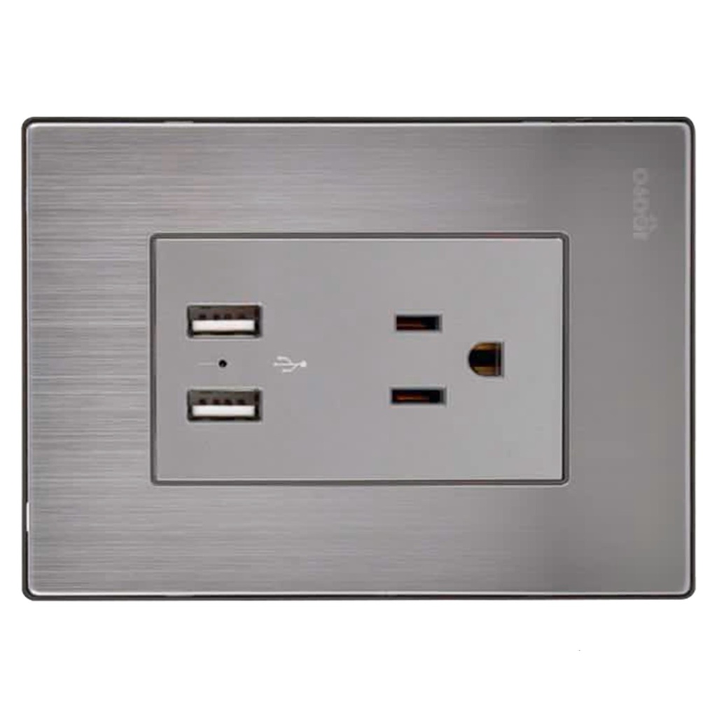 [I105/U] Igoto - Toma Corriente con Tierra + 2 USB Serie Inox