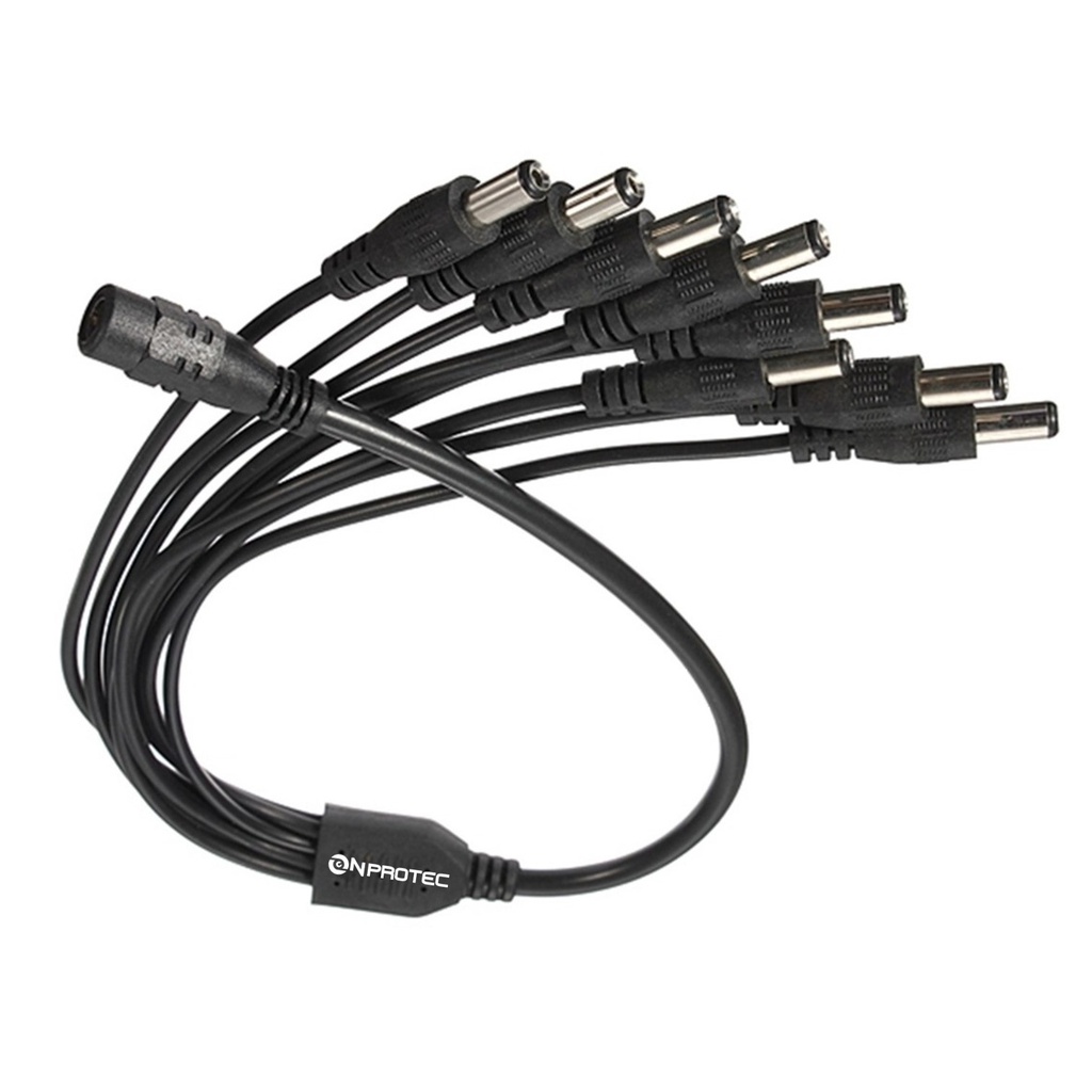 Pulpo Spltter 1 Hembra a 8 Macho