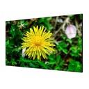 [DS-D2049LU-Y(O-STD)(1 IN 1 Package)] Hikvision - Video Wall Pantalla LCD de 49 pulgadas y 3,5 mm
