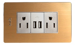 [X105/2-2U] Igoto - Toma Corriente con Tierra + 2 USB Serie X Bronce