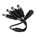 Pulpo Spltter 1 Hembra a 4 Macho