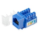 [COUPLERCAT6] Wiretech  - Conector Keystone Jack Coupler RJ-45 Categoria 6 Azul [Unidad]