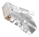 [ACC-CON-RJ45CAT6-1] Wireplus - Conector RJ45 Categoria 6 [Unidad]