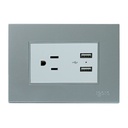 [Z105U-S] Igoto - Toma Corriente con Tierra + 2 USB  Serie Z [Plata]